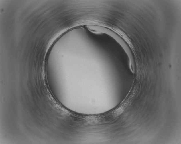 X0000068750904200605191555