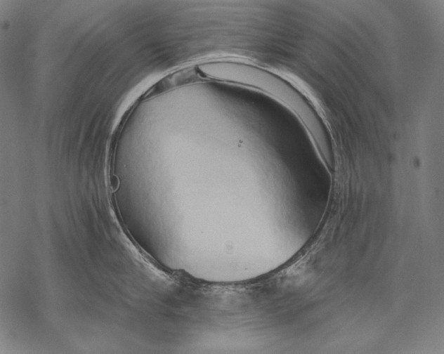 X0000068750910200605191555