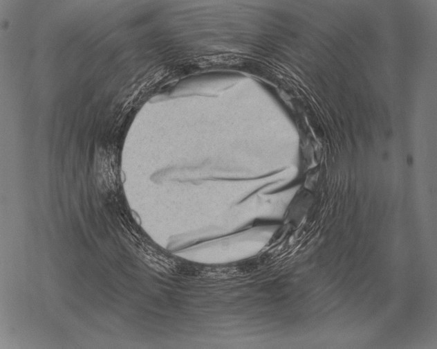 X0000068750915200605191554