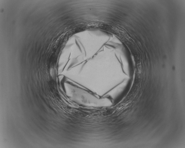 X0000068750916200605191554