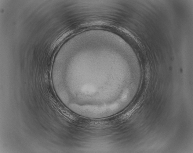 X0000068750921200605191555