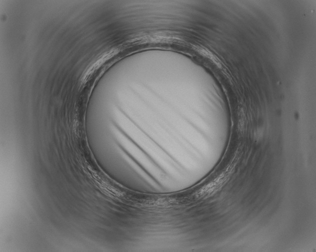 X0000068750922200605191555