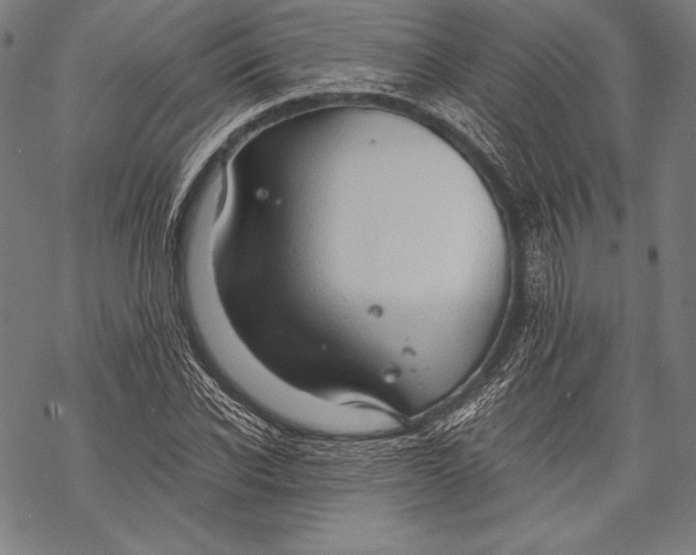 X0000068750926200605191555