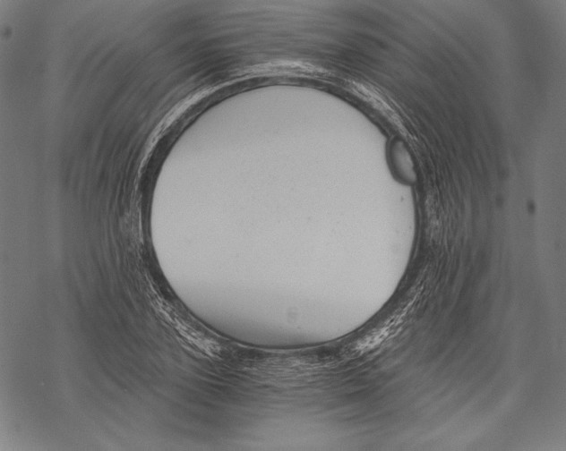 X0000068750931200605191555