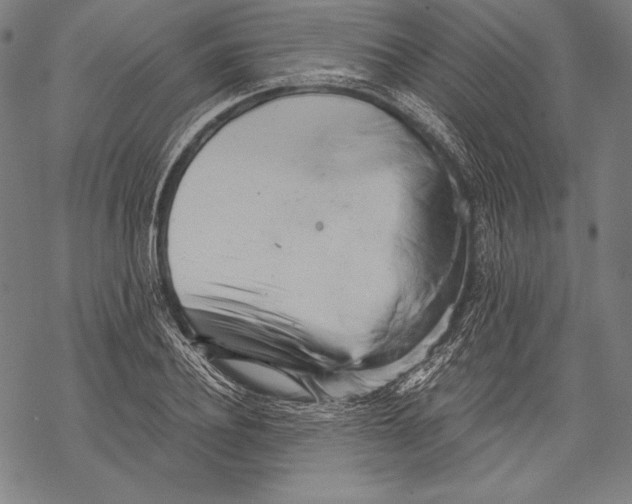 X0000068750932200605191555