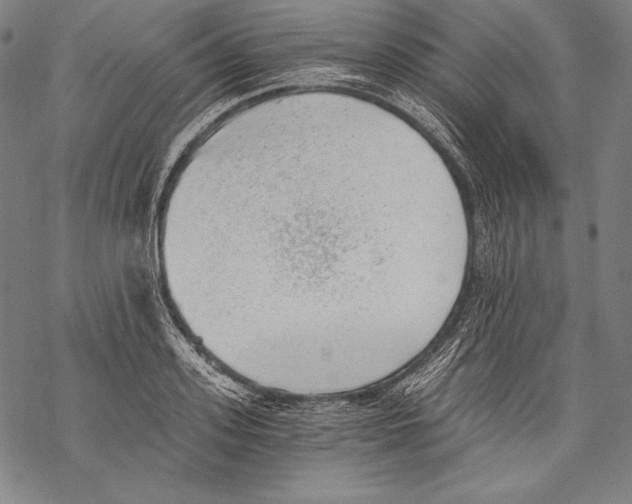 X0000068750939200605191555