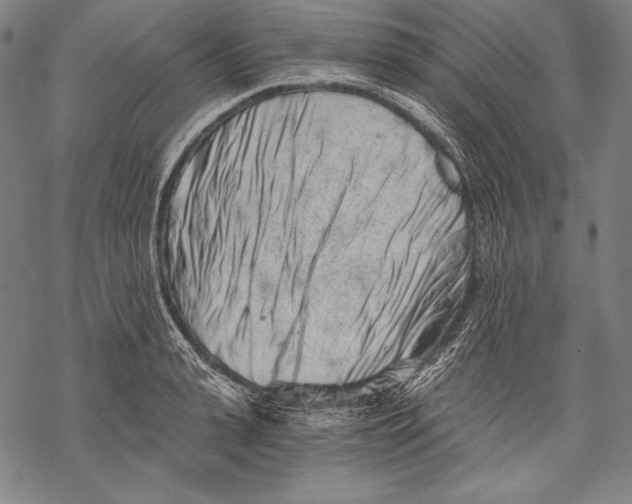 X0000068750943200605191555