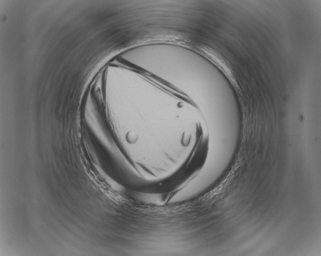 X0000068750948200605191555