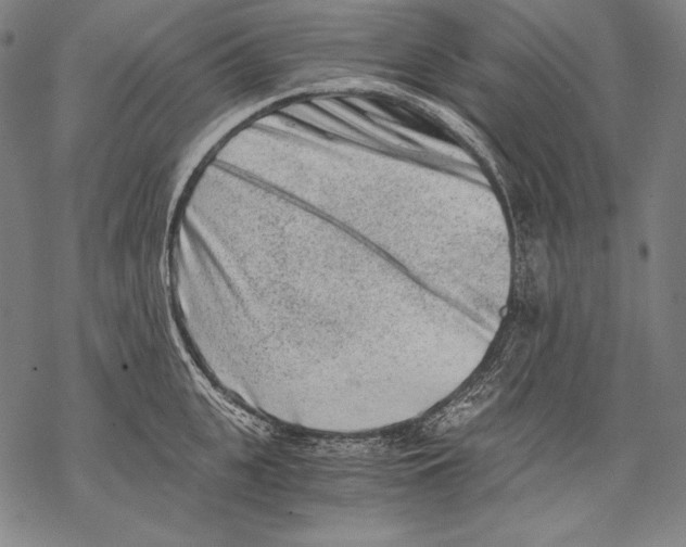 X0000068750951200605191555