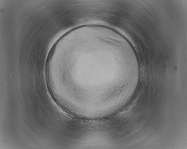 X0000068750959200605191555