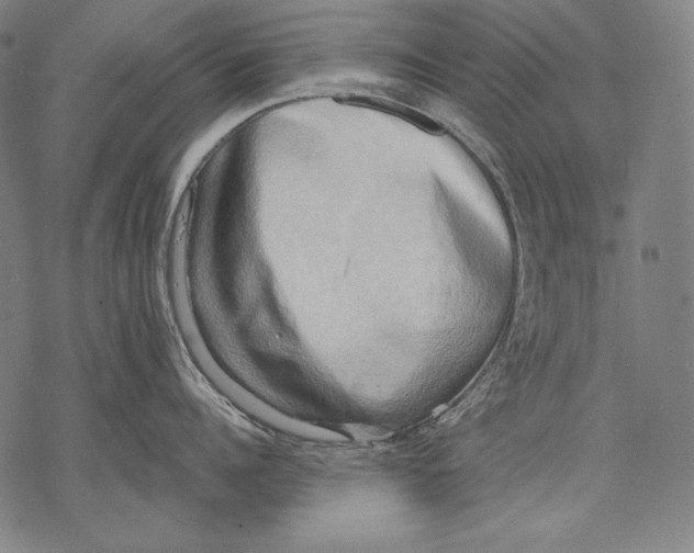 X0000068750960200605191555