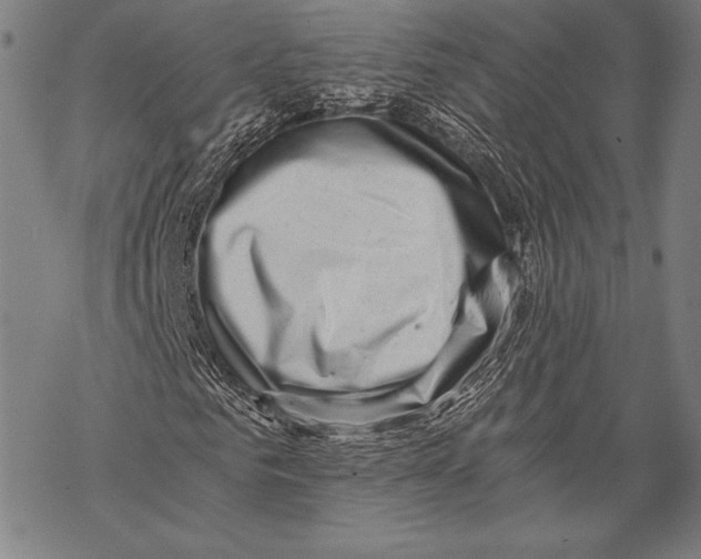 X0000068750961200605191554