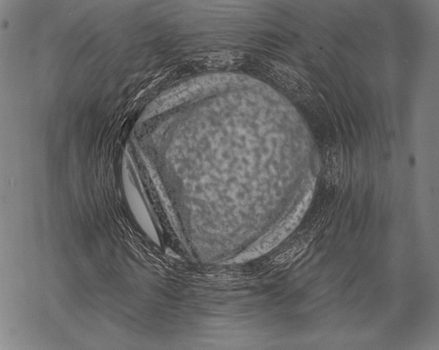 X0000068750962200605191554