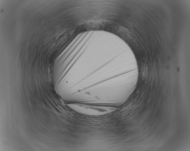 X0000068750964200605191554
