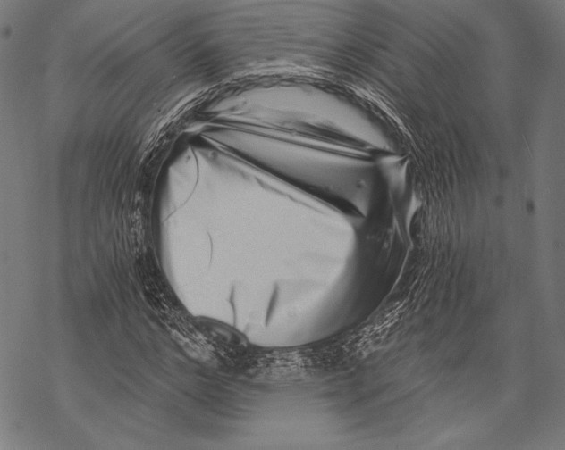 X0000068750968200605191554