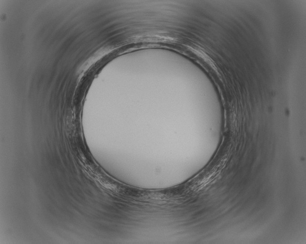 X0000068750971200605191554