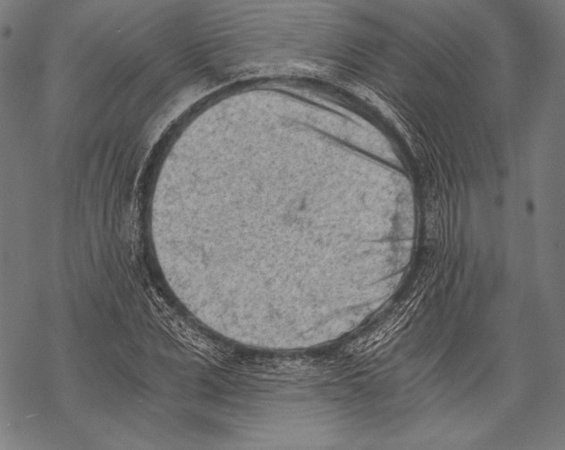 X0000068750975200605191554