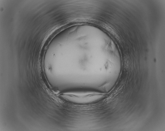 X0000068750976200605191554