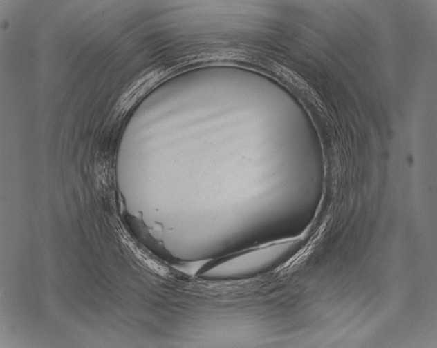 X0000068750985200605191554