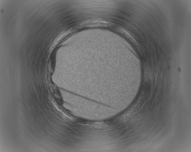 X0000068750986200605191554