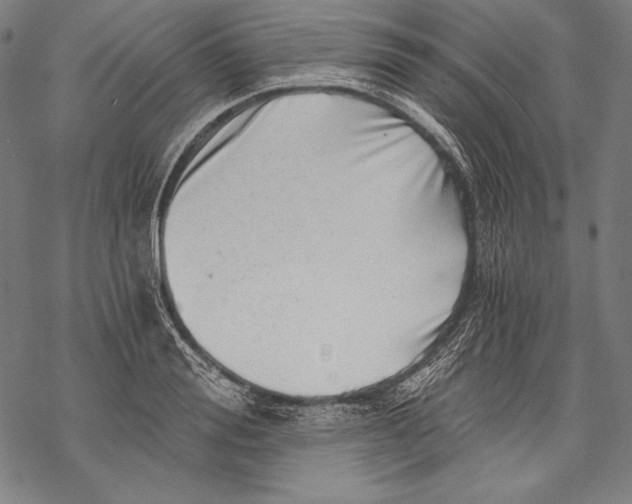 X0000068750988200605191554