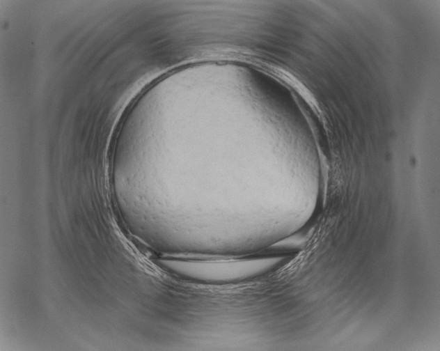 X0000068750996200605191554