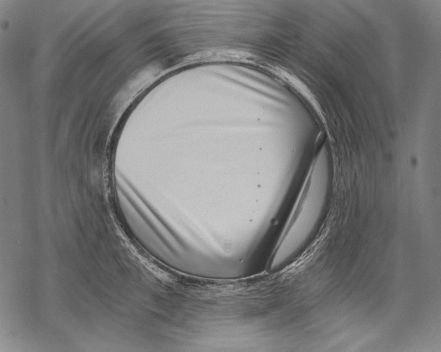 X0000068750997200605191554
