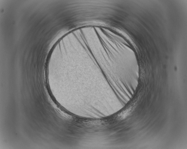 X0000068750999200605191554