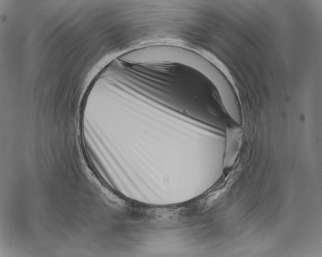 X0000068751005200605191554