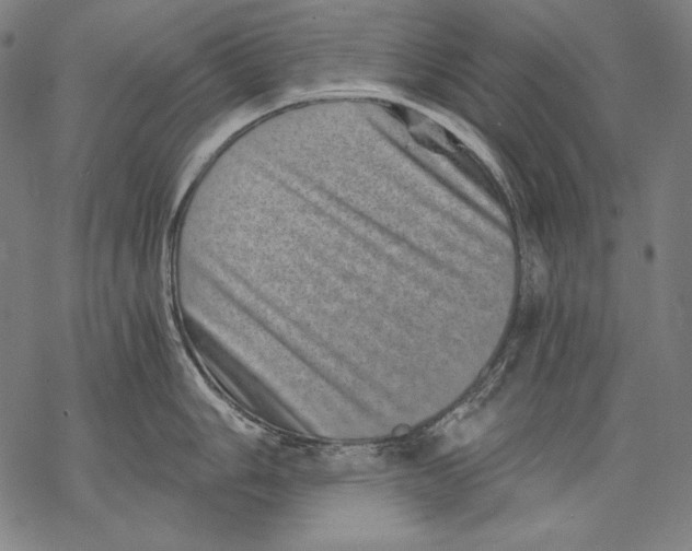 X0000068751006200605191554