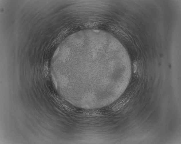 X0000068751011200605191553