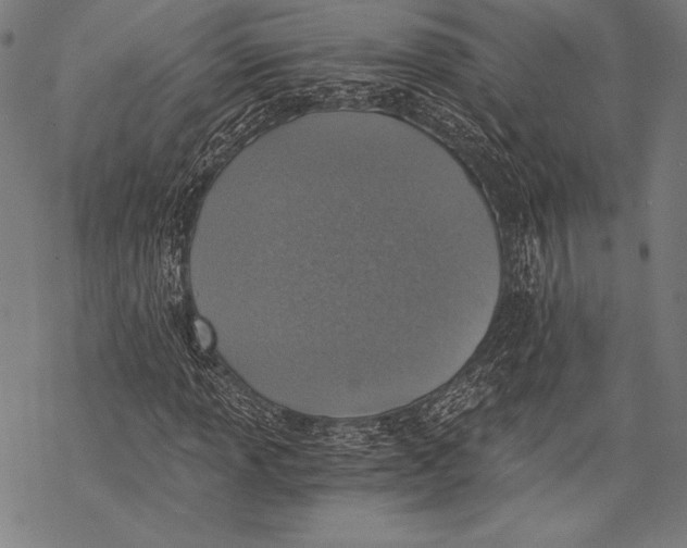 X0000068751013200605191553