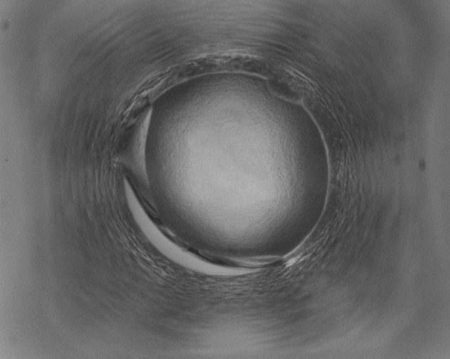 X0000068751014200605191553