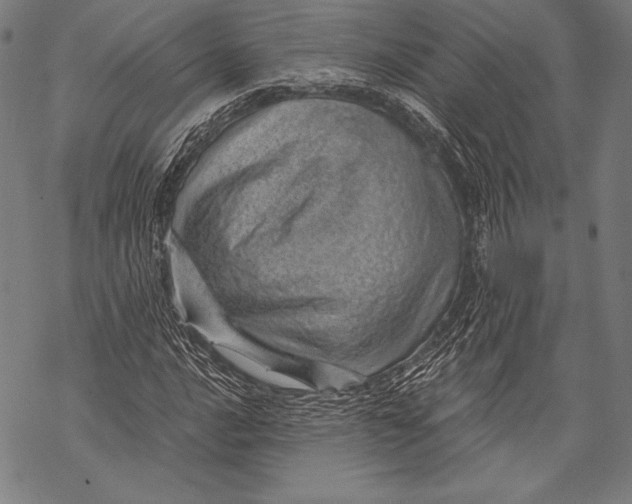 X0000068751016200605191553