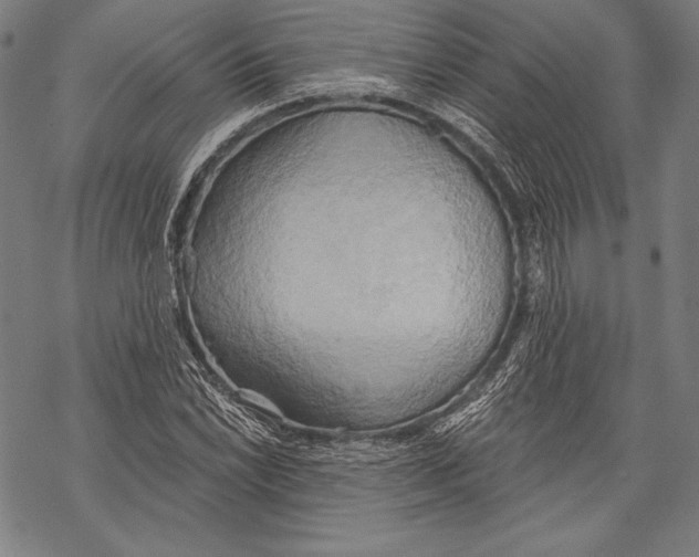 X0000068751022200605191553