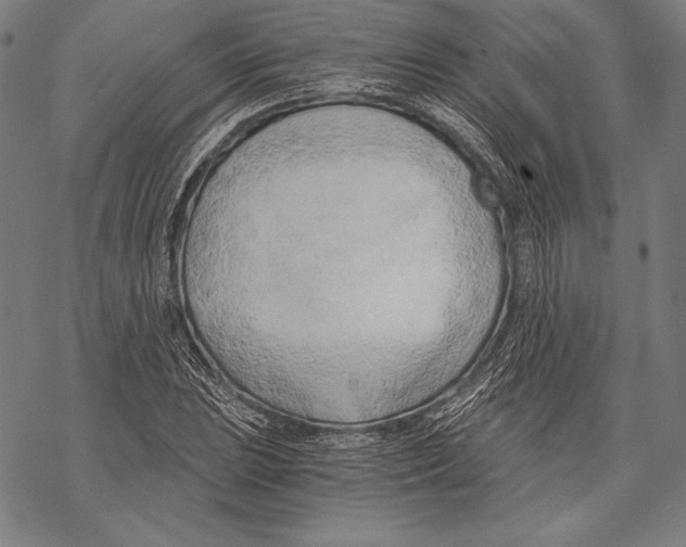 X0000068751023200605191553