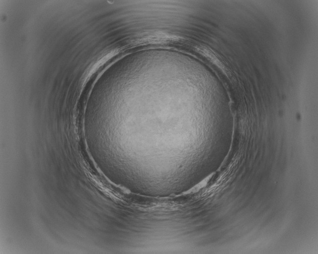 X0000068751026200605191553