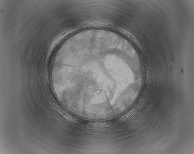 X0000068751027200605191553
