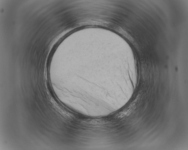 X0000068751028200605191553