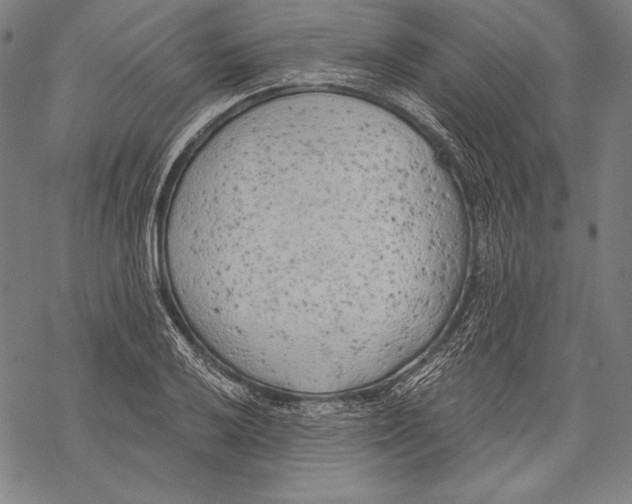 X0000068751032200605191553