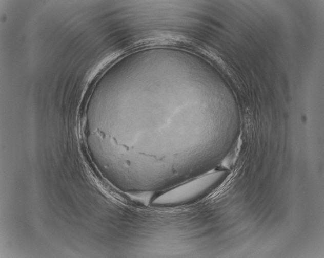 X0000068751034200605191553
