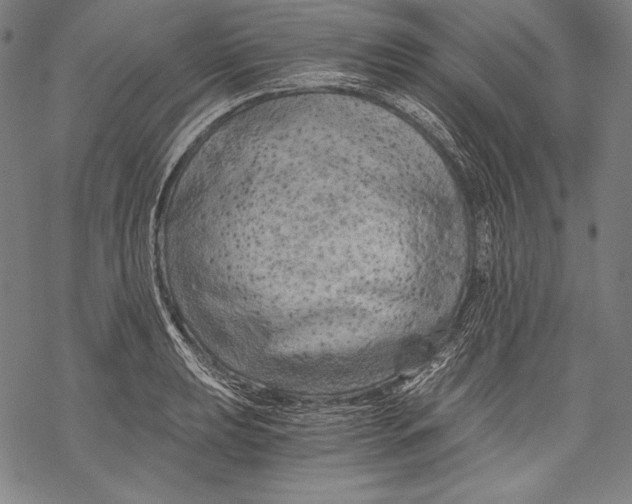 X0000068751039200605191553
