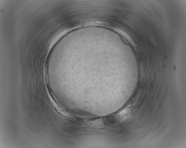 X0000068751047200605191553