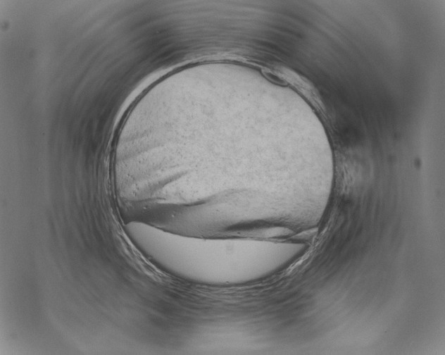 X0000068751052200605191554