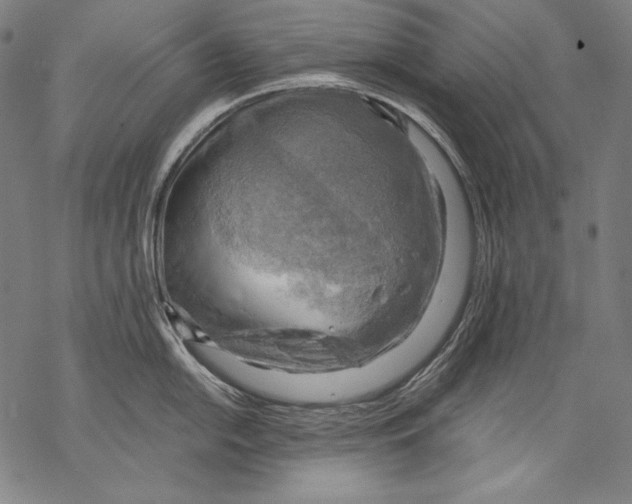 X0000068751054200605191554