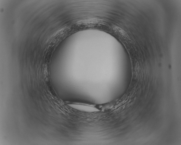 X0000068751062200605191553