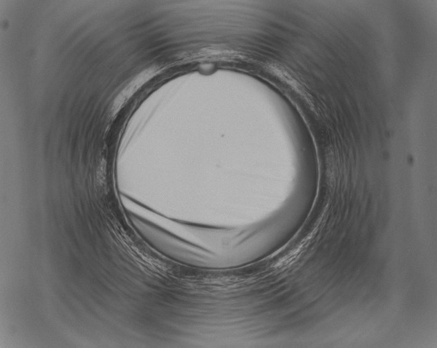 X0000068751066200605191553