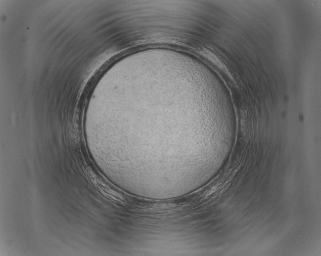 X0000068751068200605191553