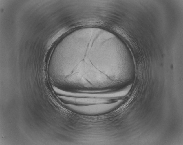X0000068751071200605191553