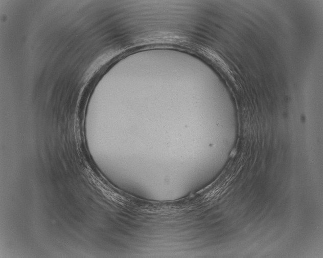 X0000068751072200605191553